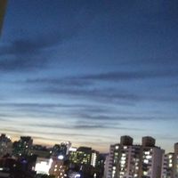 50c7fd8283e6480d