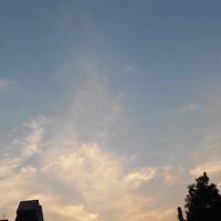 5cf1166179424b21