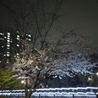 9080b73d65ae49e4