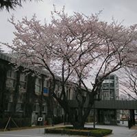 9c0b01ada5324fd3