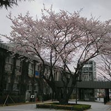 9c0b01ada5324fd3