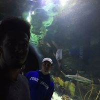 aaronyoung