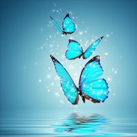 ailitheawesome88