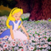 alicemeryy