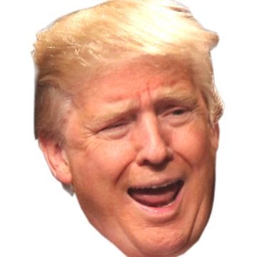 bizual