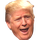 bizual