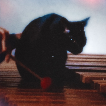 bloomboxkitty