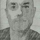 brunoj31