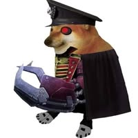 commissarshiba