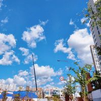 d4067178f56d44f6