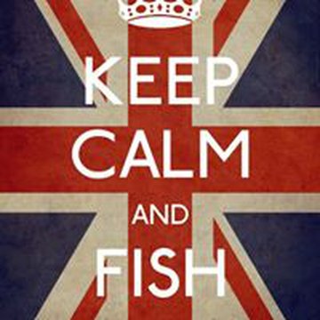 davidfishonmusgrave