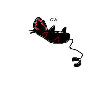 definitelynotbrungusmcchickeniii