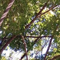 e0eeada3a5874875