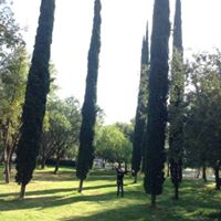 elizabethmedinaolalde