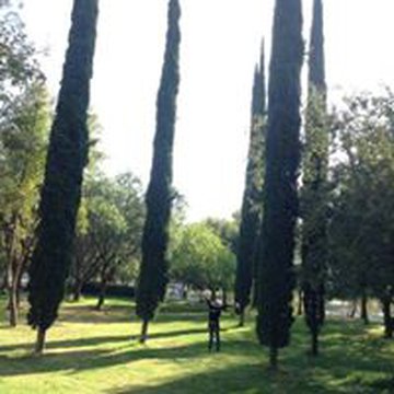 elizabethmedinaolalde