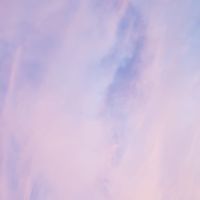 fa29a6f836de4101