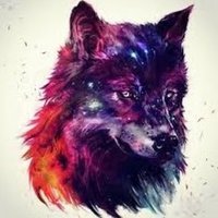 fluffygalaxyfox