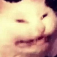 fred_n_springy