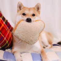 gabbymoose09