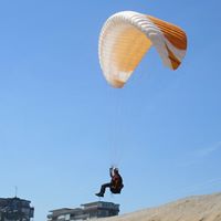 gabrielbenitosobrino