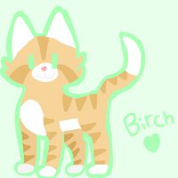 gamecat04