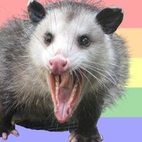 gaydanie