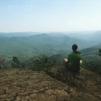 id21786189
