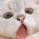 ime4nit