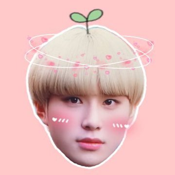 jungwoomf