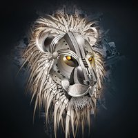 labeebmirza12