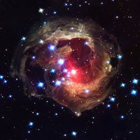 mcellison3131