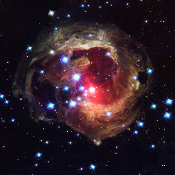 mcellison3131