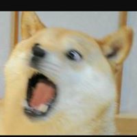 minjuncho