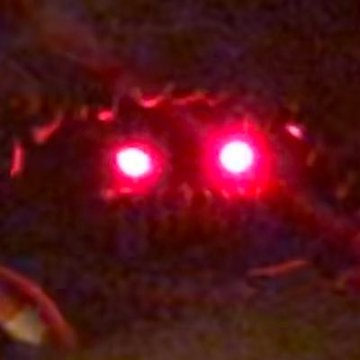 mrspykes