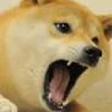 pazarenrblx