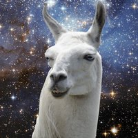 randomuser1561