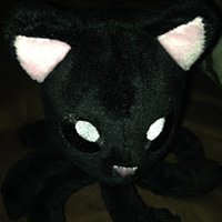 shinykhitty