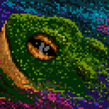 space_toad