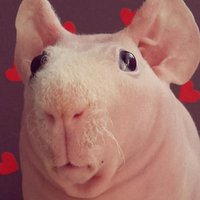 sueylovesyou