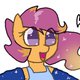 synnibear03
