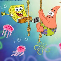 tmnt2012onlyonnick