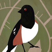 towhee